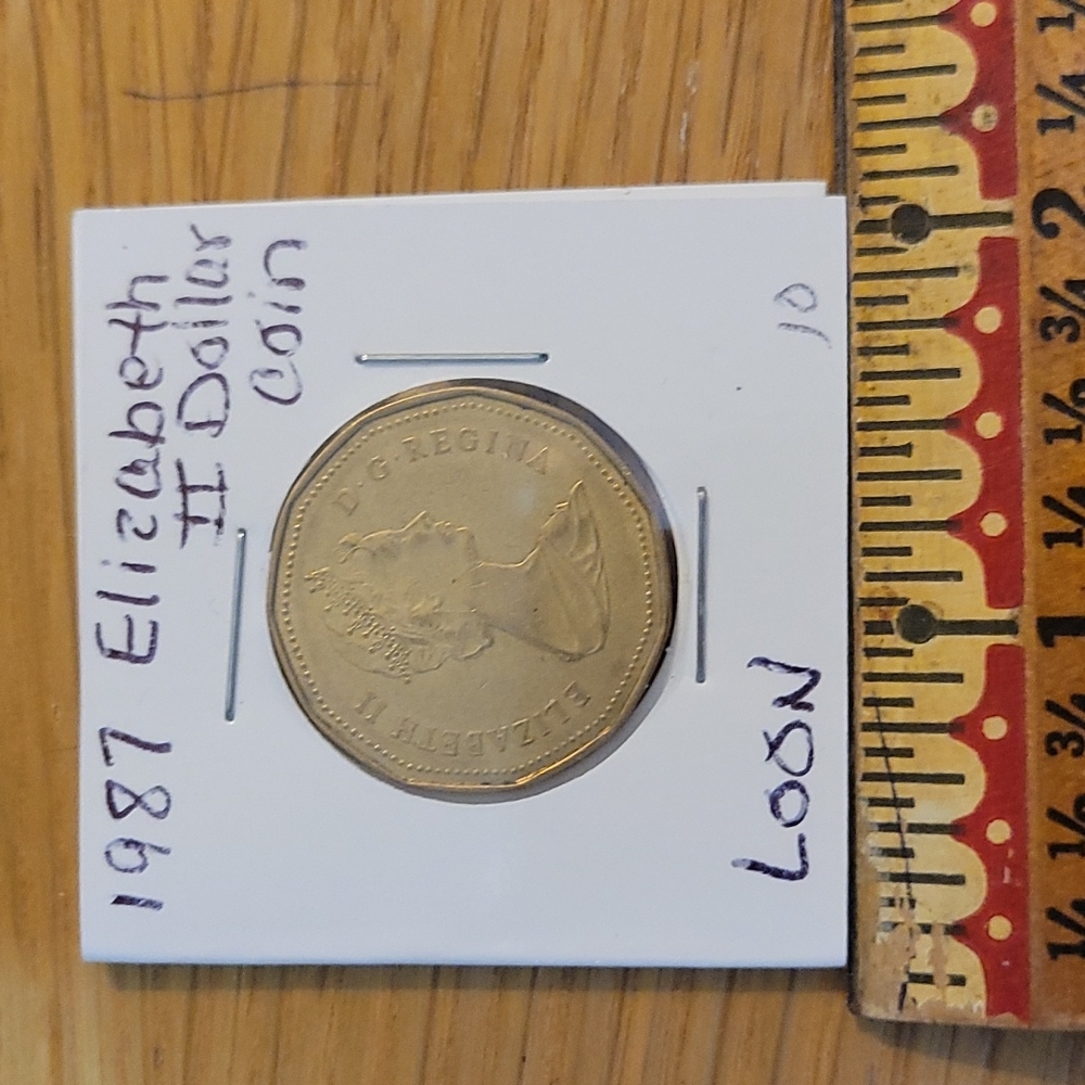 1987Elizabeth II dollar coin. Circulated, ungraded
